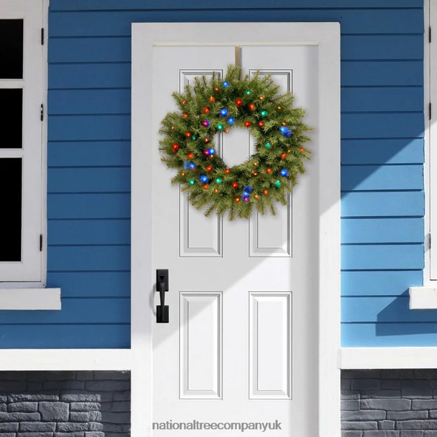 Greenery | National Tree Company Pre-Lit Artificial Christmas Wreath Green Norwood Fir Multicolor Lights Christmas Collection 24 Inches F2L4F237